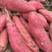 河南西瓜红，红薯品质保证，产地直发，欢迎大家来电咨询