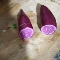 紫薯品质紫薯产地发货自家种植量大从优欢迎电话联系