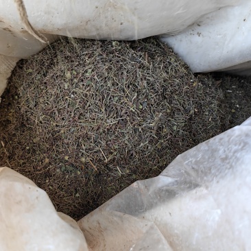 河北涉县花椒杆，品质保证，一手货源，欢迎大家来电咨询