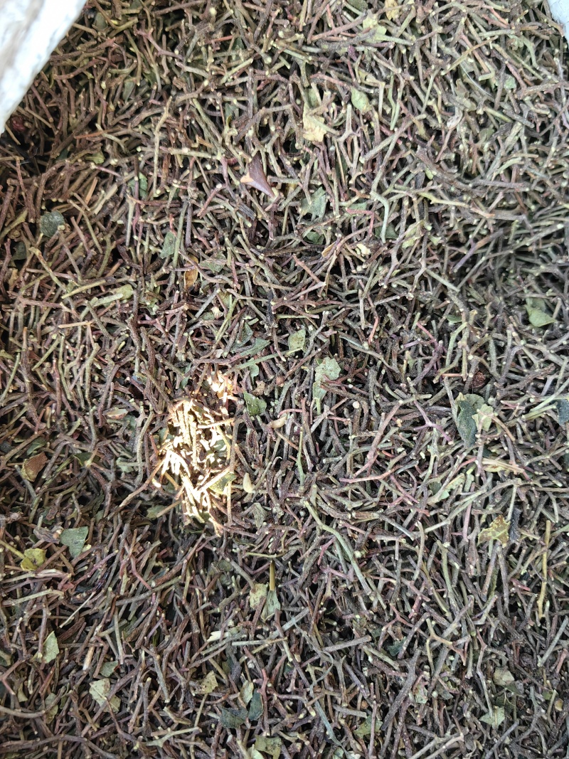 河北涉县花椒杆，品质保证，一手货源，欢迎大家来电咨询