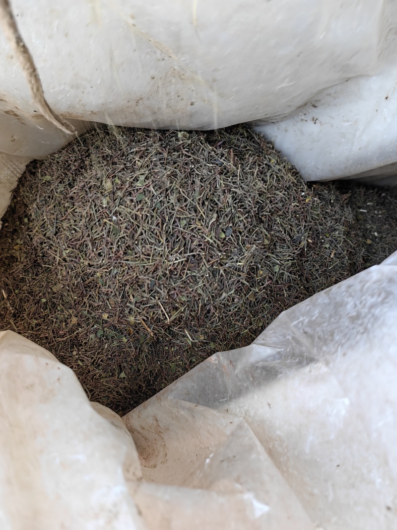 河北涉县花椒杆，品质保证，一手货源，欢迎大家来电咨询
