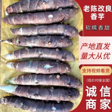【热卖】香芋老陈改良香芋自产自销软糯香甜品质保证