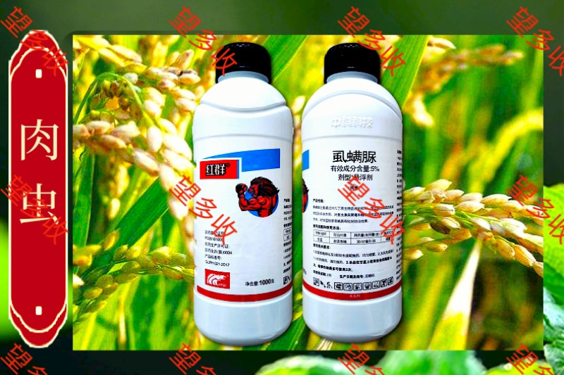 中科5%虱螨脲菜青虫卷叶蛾棉铃虫鳞翅目杀虫剂农用杀虫剂