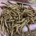 山东黄粉虫干品营养丰富多元蛋白品质保证基地直发多规格