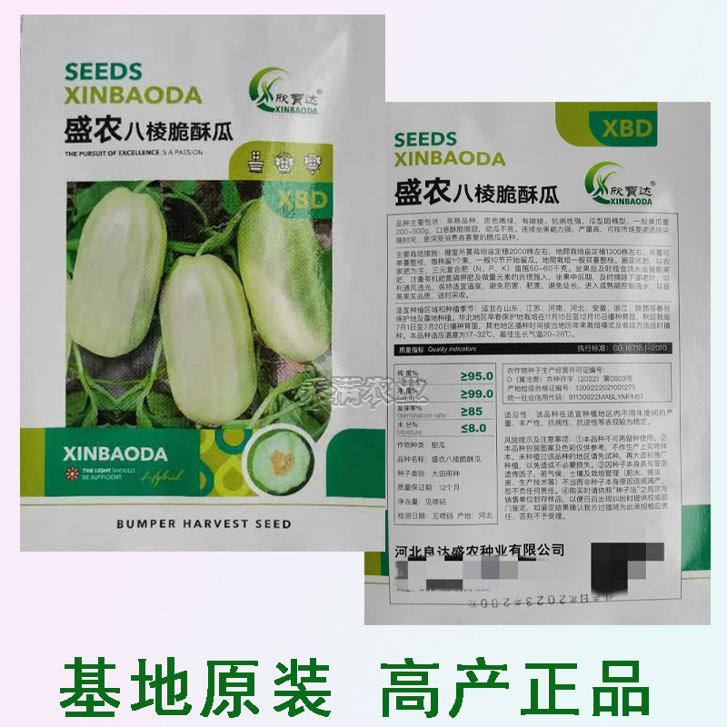 早熟八棱脆瓜种子香酥菜瓜烧瓜生吃蔬菜种子籽孑无糖