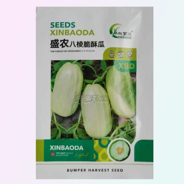 早熟八棱脆瓜种子香酥菜瓜烧瓜生吃蔬菜种子籽孑无糖