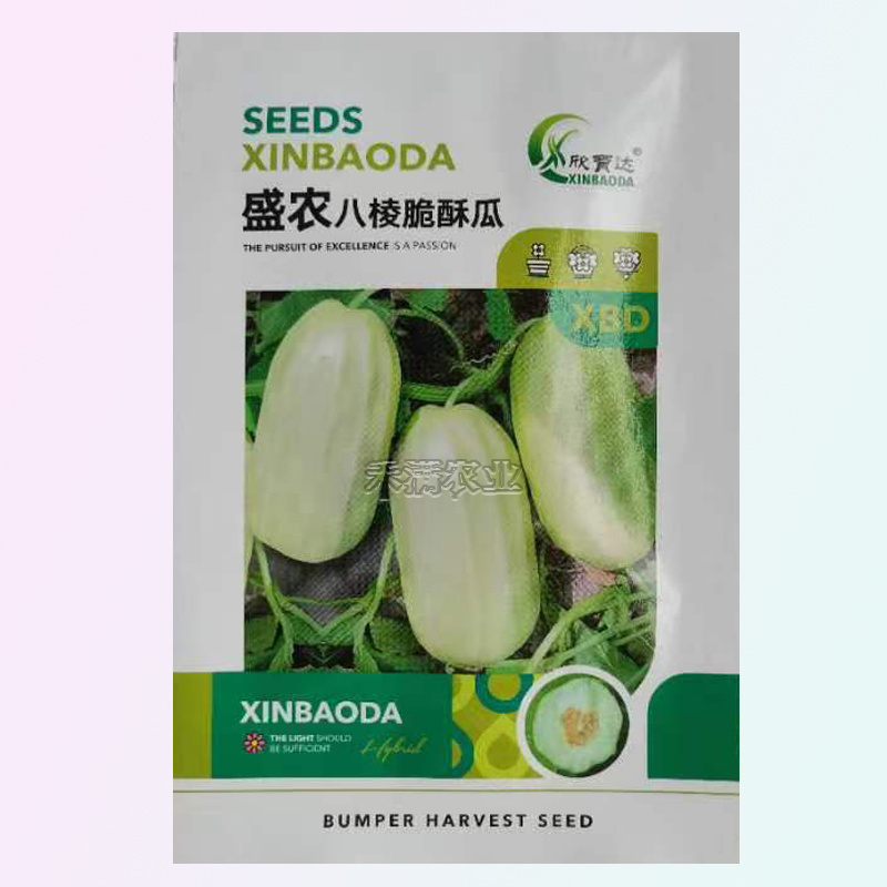 早熟八棱脆瓜种子香酥菜瓜烧瓜生吃蔬菜种子籽孑无糖