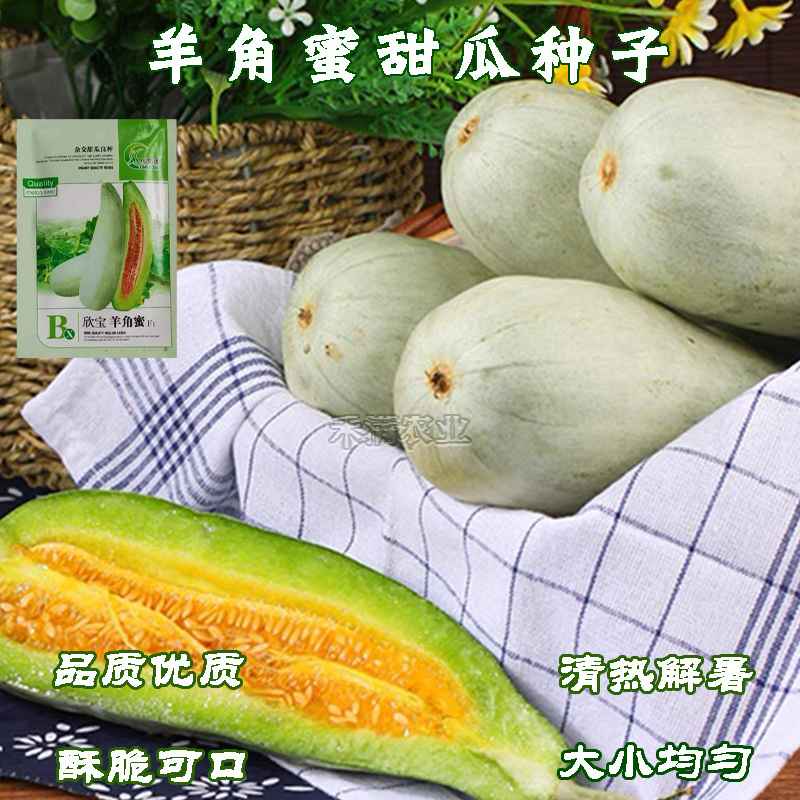 正品羊角蜜种子羊角酥甜瓜种子种籽蔬菜孑秧高产薄皮