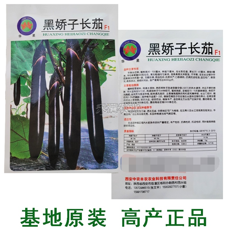 寿光黑娇子长茄种子早熟高产春秋四季茄子种籽新一代品种