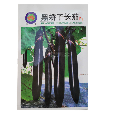 寿光黑娇子长茄种子早熟高产春秋四季茄子种籽新一代品种