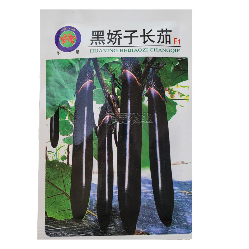 寿光黑娇子长茄种子早熟高产春秋四季茄子种籽新一代品种