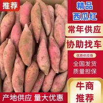 汕尾西瓜红薯口感香甜软糯产地供应可视频实地考察