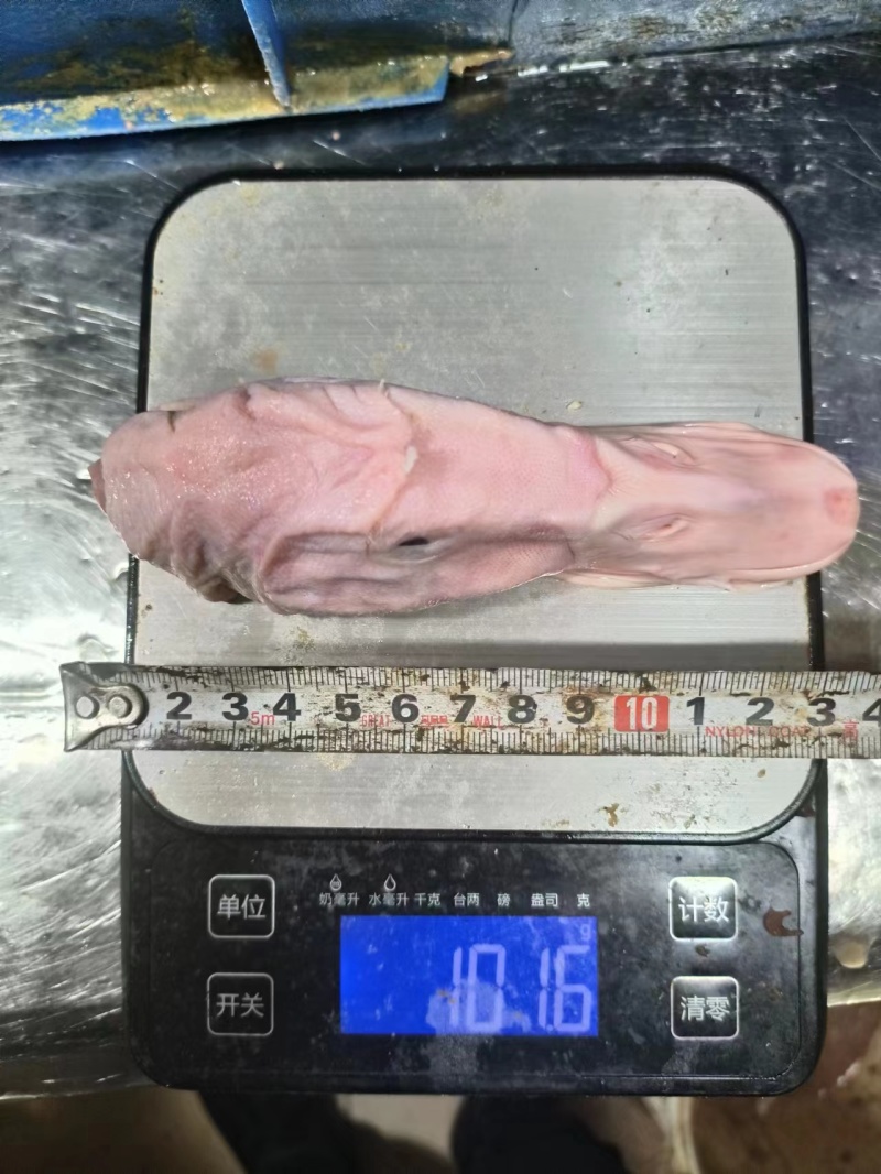 新鲜鸭头一手货源，新鲜发货品质正宗，以质论价诚信经营