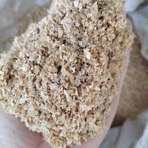 山东大片优质麦麸，产地直发，保质保量，欢迎老板前来选购