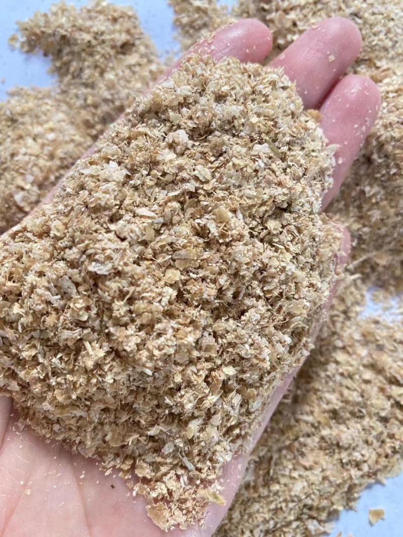 山东大片优质麦麸，产地直发，保质保量，欢迎老板前来选购