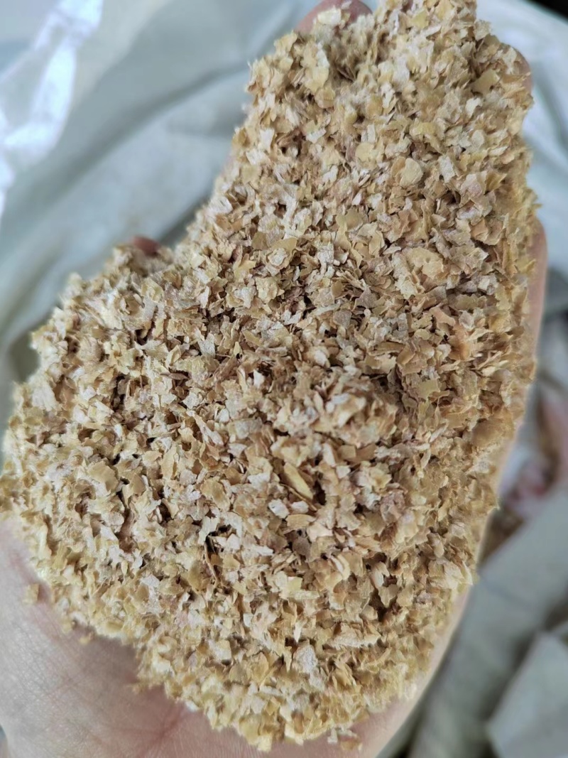 山东大片优质麦麸，产地直发，保质保量，欢迎老板前来选购