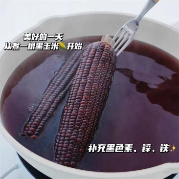 【黑糯玉米】山西基地直供一手货源质量保证对接商超