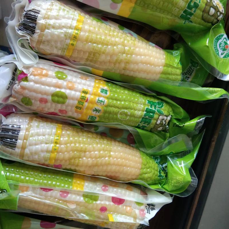 【精品糯玉米】山西基地直供一手货源质量保证对接商超市场