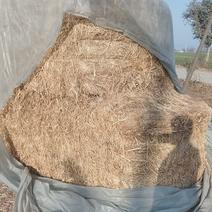 安徽柔丝小麦秸秆产地直发品质保证可视频看货欢迎来电