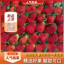 四川奶油草莓酸甜可口产地直发大量上市品质保证量大从优