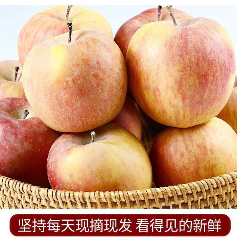 阿克苏冰糖心苹果5斤/10斤一件代发80+大果新疆顺丰