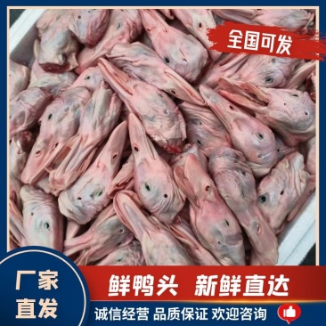鸭头（2两重）价格便宜量大，质量三包，自有货源全国发货