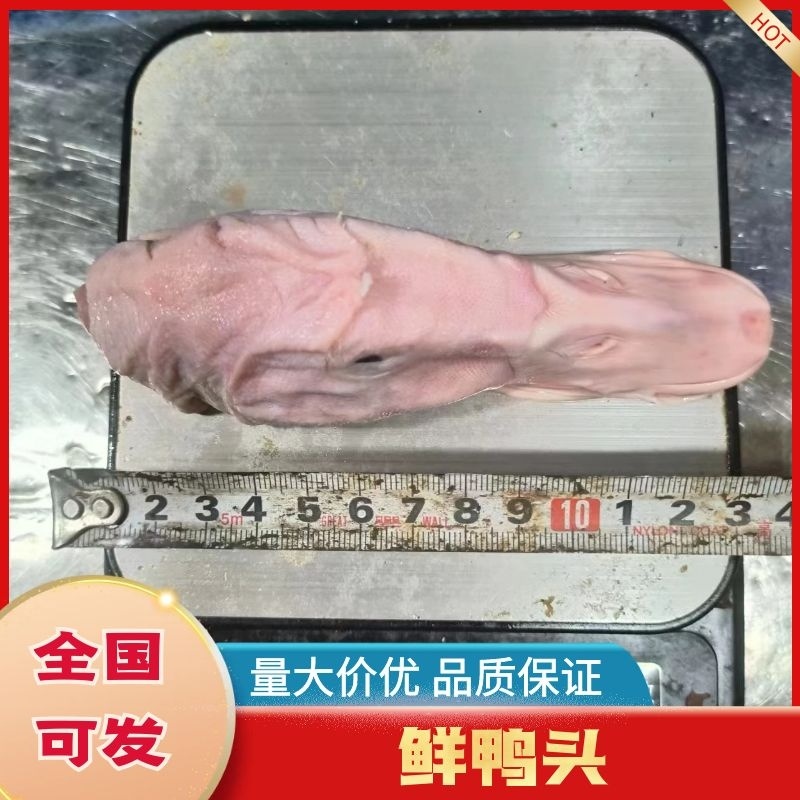 新鲜鸭头一手货源，新鲜发货品质正宗，以质论价诚信经营