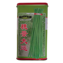 穗景大运豆角种子翠绿色豇豆种子高产抗霜霉病发芽率好