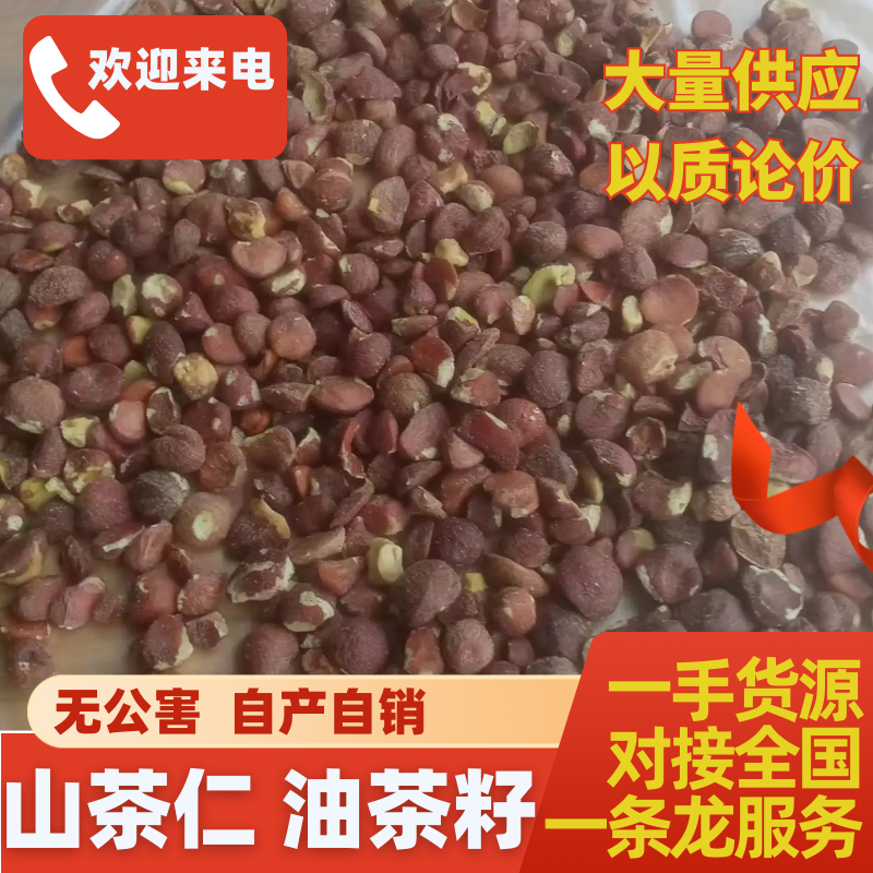广西百色无公害山茶仁油茶籽品质正宗诚信经营