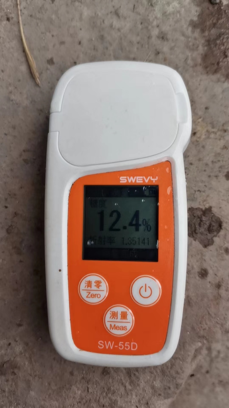 【推荐】精品冰糖柚金兰皮薄肉厚保质保量欢迎来电洽谈