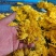 【推荐】安徽黄山金丝皇菊种植产地一手货源价格稳定全国供货