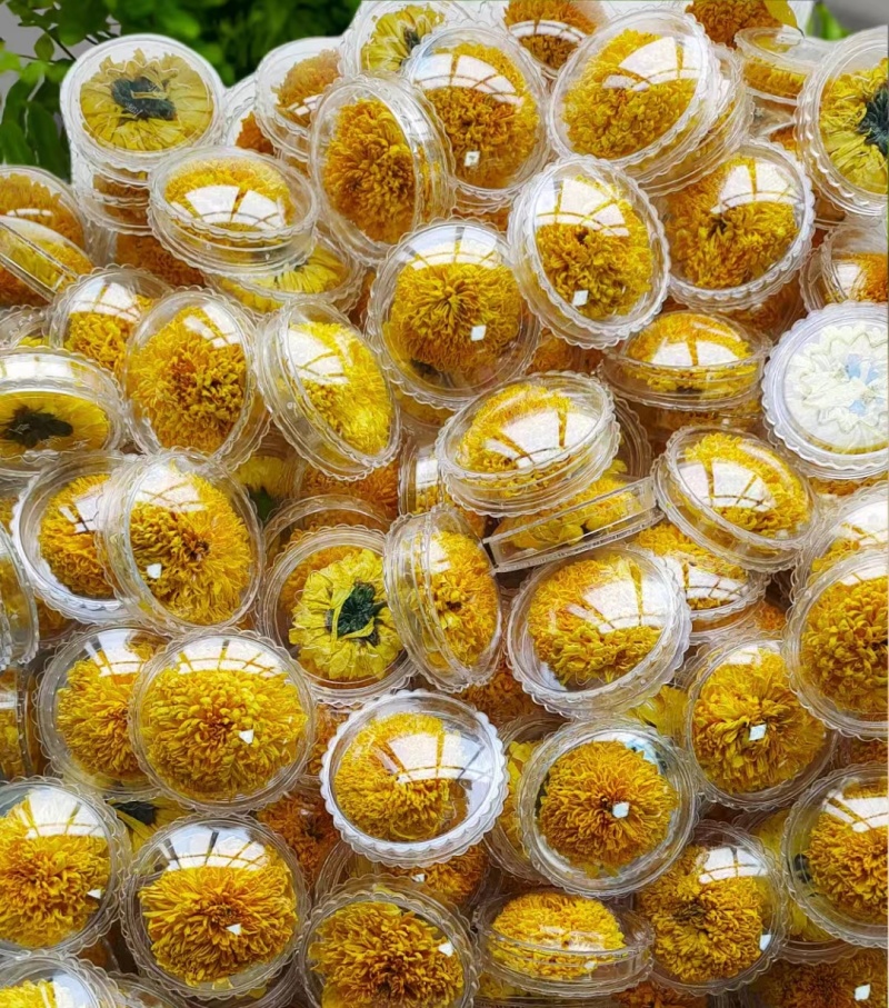 【推荐】安徽黄山金丝皇菊种植产地一手货源价格稳定全国供货