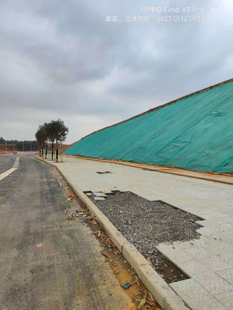 【优选】草籽边坡客土喷播:草种狗牙根等灌木花种等品种齐全