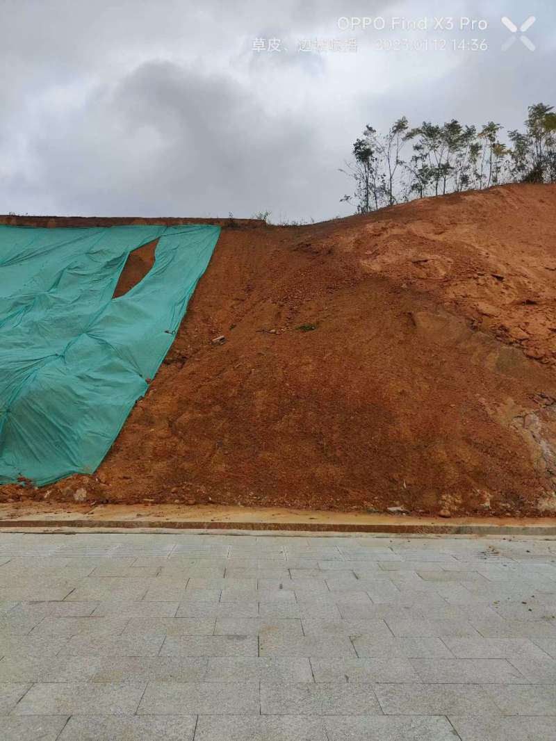 【优选】草籽边坡客土喷播:草种狗牙根等灌木花种等品种齐全