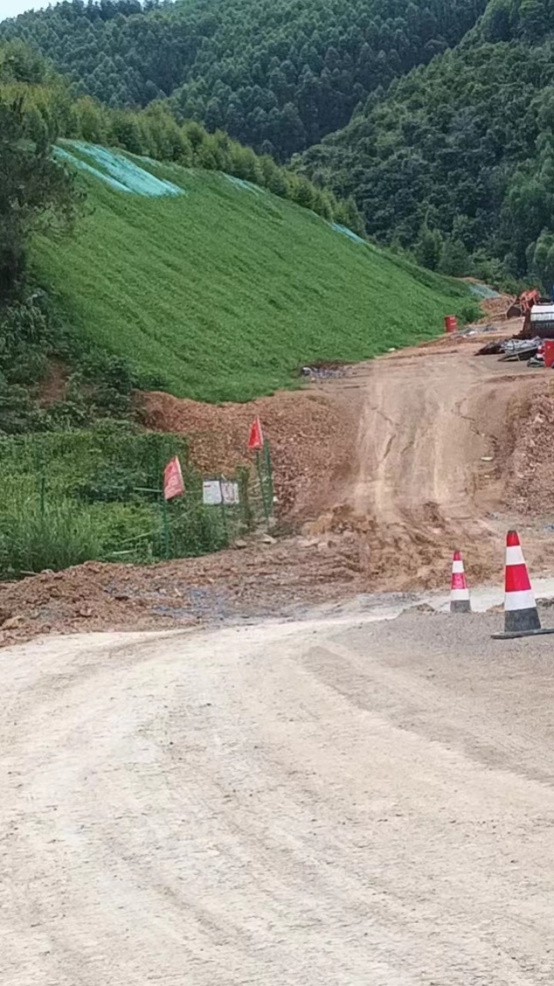 【优选】草籽边坡客土喷播:草种狗牙根等灌木花种等品种齐全