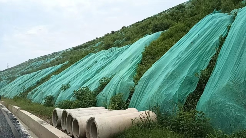 【优选】草籽边坡客土喷播:草种狗牙根等灌木花种等品种齐全