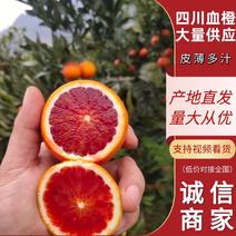 【血橙】塔罗科血橙大量供应可视频皮薄多汁欢迎咨询