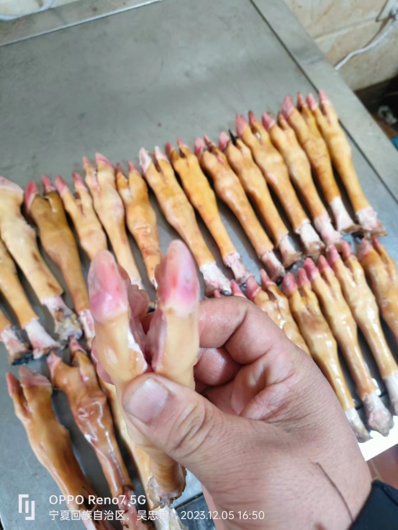 宁夏火烧羊蹄免洗免收拾新鲜现宰手工火烧量大从优品质保证