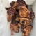 宁夏滩绵羊头整只带皮新鲜现宰一手货源量大从优欢迎咨询