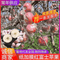 【常年供应】冰糖心苹果红富士苹果山西苹果现货批发