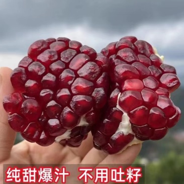 【推荐】四川凉山会理石榴种植产地一手货源价格稳定常年供货