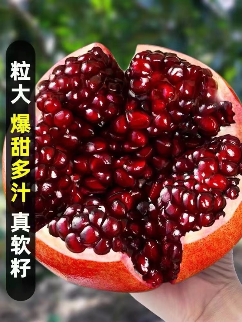 【推荐】四川凉山会理石榴种植产地一手货源价格稳定常年供货