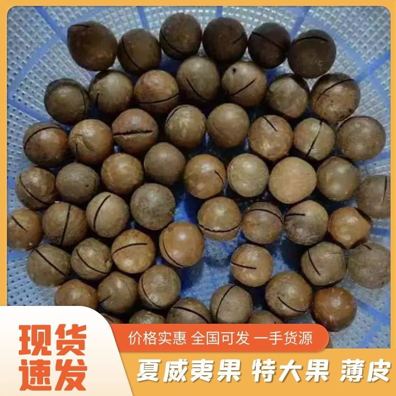 夏威夷果规格齐全产地直发，一手货源，品质正宗精品，不包邮