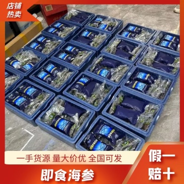 大连海参即食海参工艺海刺参辽参真空独立包装