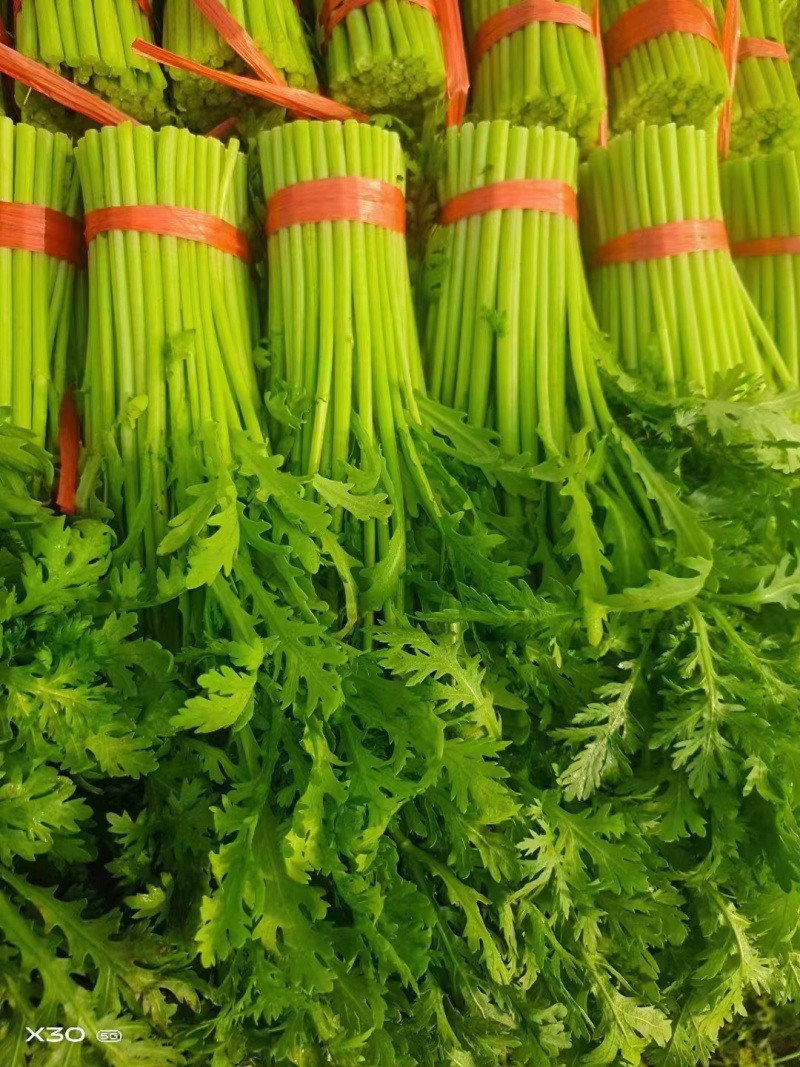 新鲜优质茼蒿，大量供应，品质保证，欢迎进店咨询采购！