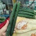 新鲜密刺黄瓜，大量供应，价格实惠，欢迎进店咨询采购！