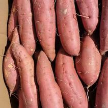 贵州高山红薯西瓜红蜜薯大量供应香甜可口保质保量
