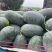 【黑美人西瓜】海南产地直发质量上乘量大优惠欢迎订购