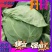【优质】圆包菜，大量供应，一手货源，欢迎进店咨询采购！