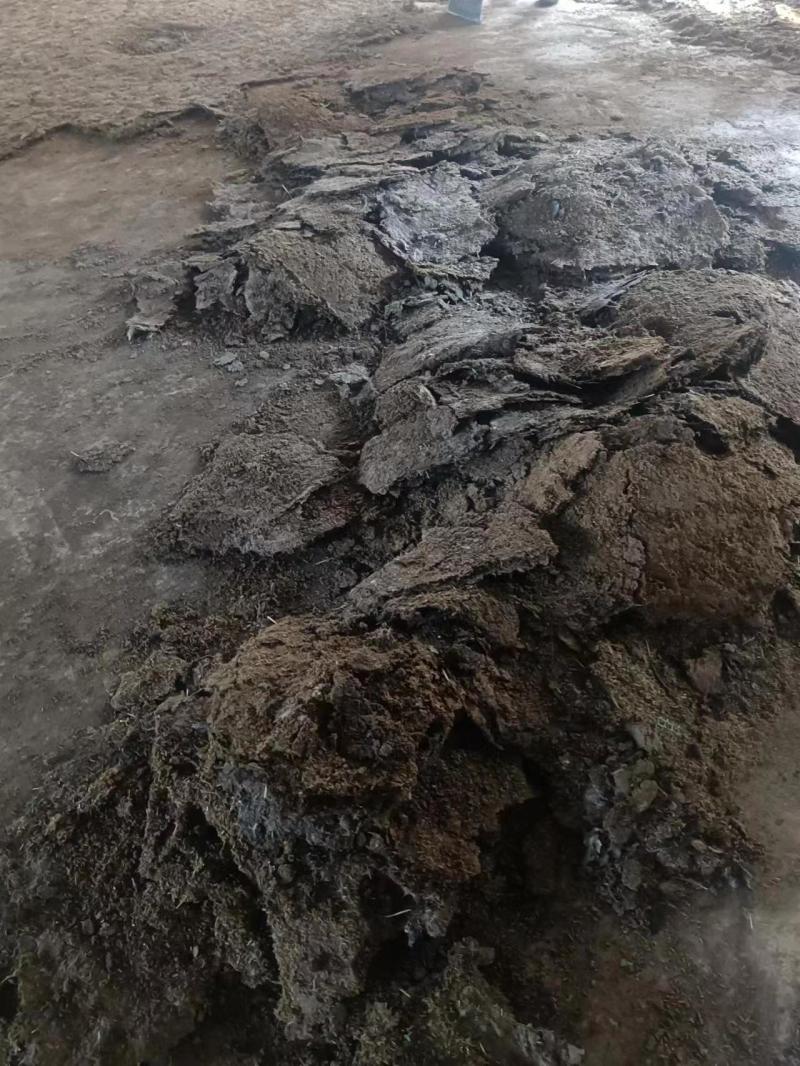 发酵有机肥鸡粪湖南产地直供量大从优可视频看货电联优惠